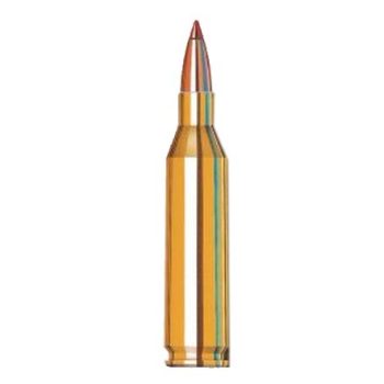 243 Winchester 58 Grain VMax
