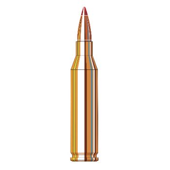 243 Winchester 75 Grain VMax Superformance Varmint