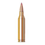 243 Winchester 87 Grain SST