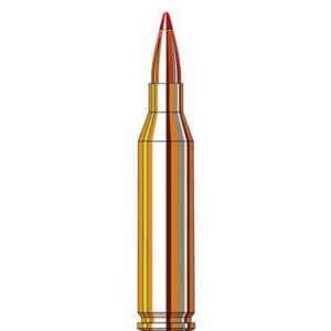 243 Winchester 87 Grain V-Max 20 Rounds