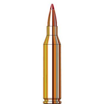 243 Winchester 87 Grain V-Max