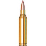 243 Winchester 95 Grain SST