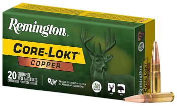 Remington 300BLK 120GR 20RDS