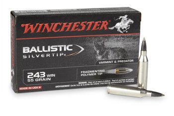 Winchester Ballistic 243 Win